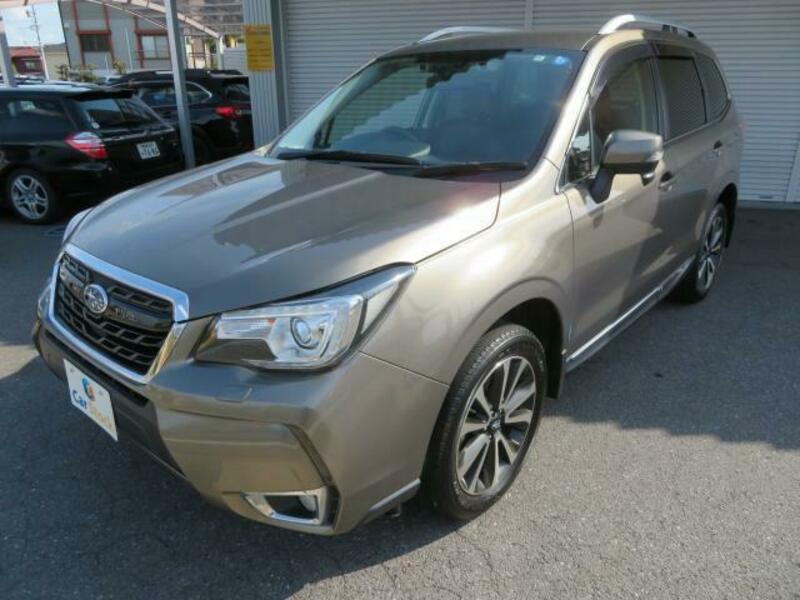 FORESTER-11