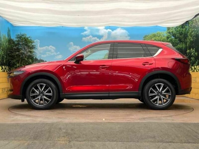 CX-5-16