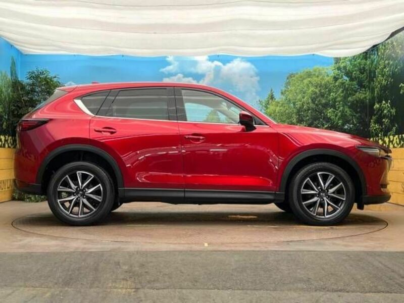 CX-5-17