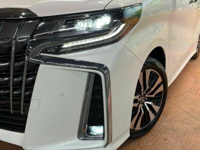 ALPHARD-15