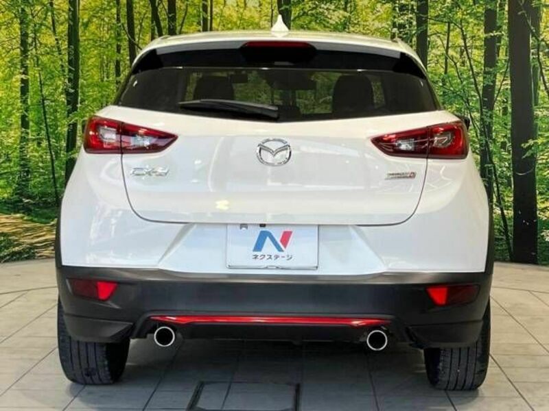 CX-3-15