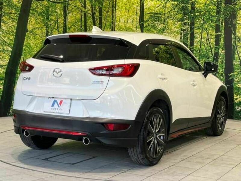 CX-3-17