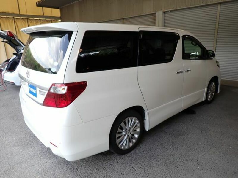 ALPHARD-6