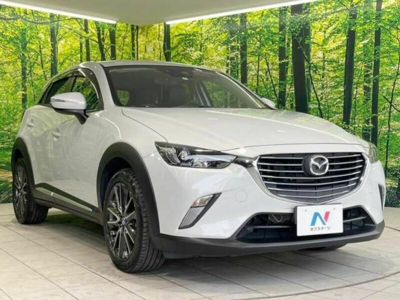 CX-3-16