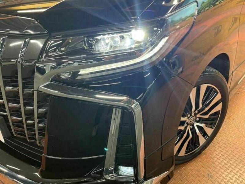 ALPHARD-14