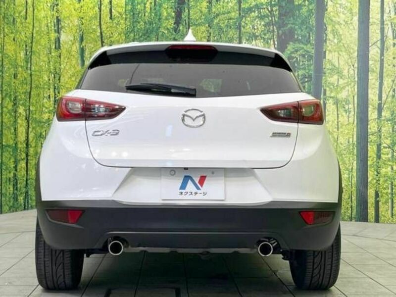 CX-3-15