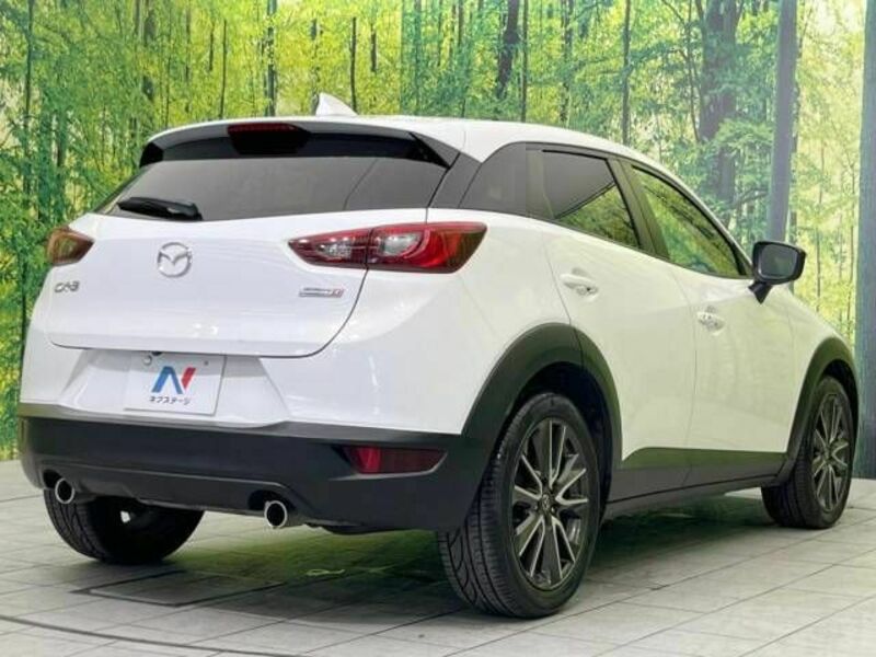 CX-3-17