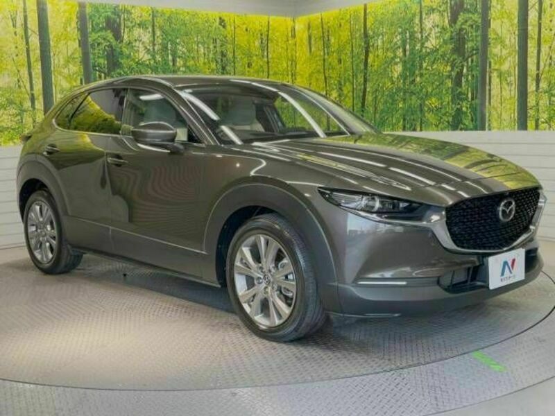 CX-30-16