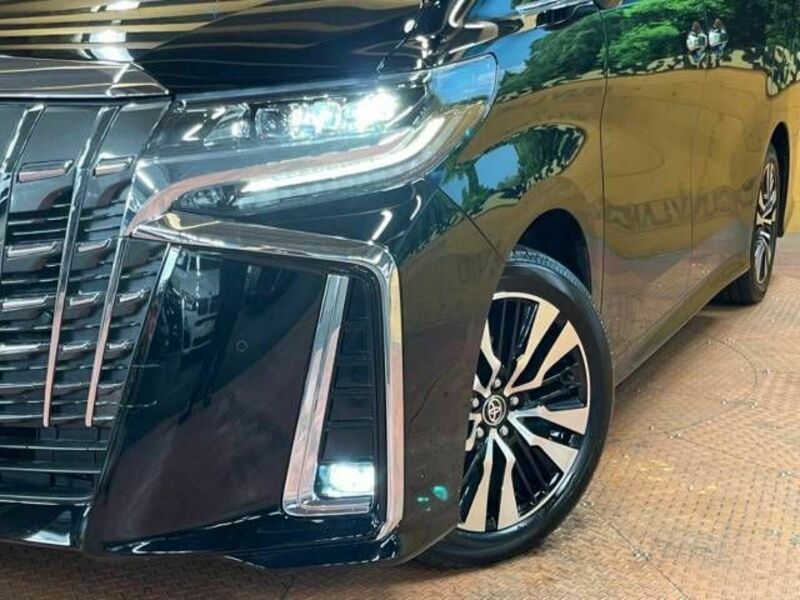 ALPHARD-13