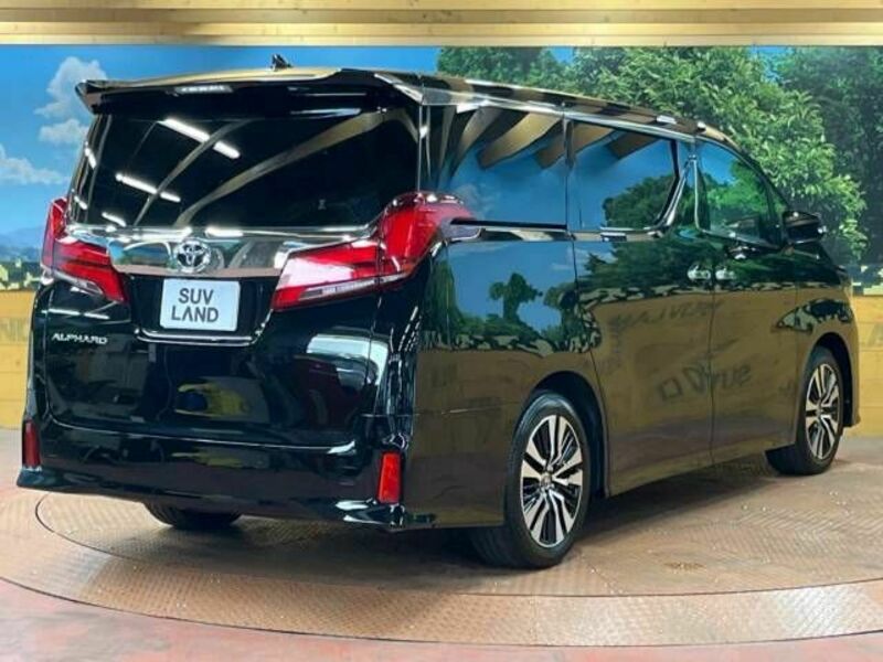 ALPHARD-18