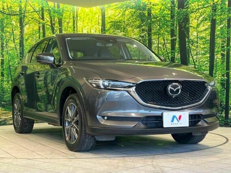 CX-5-16