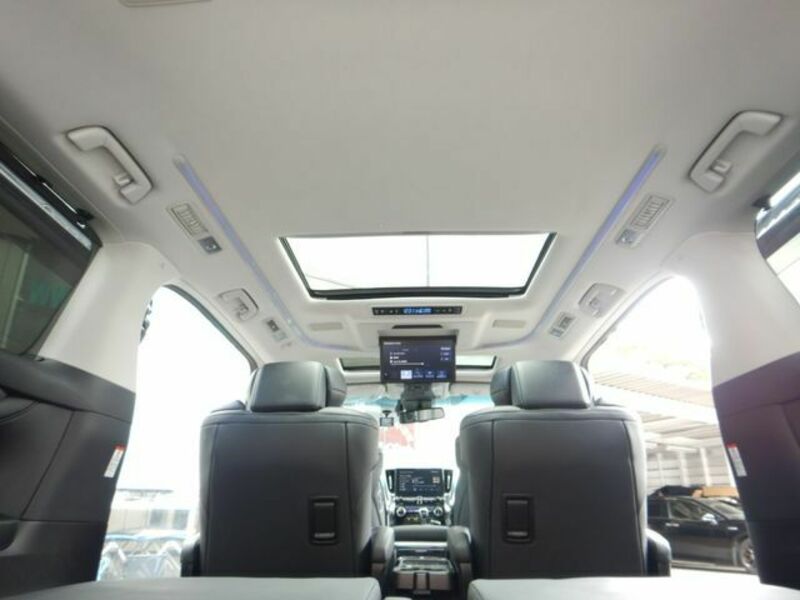 ALPHARD-25