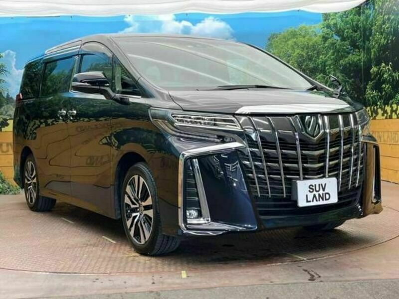 ALPHARD-17