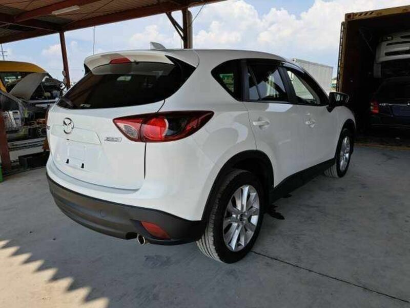 CX-5-6