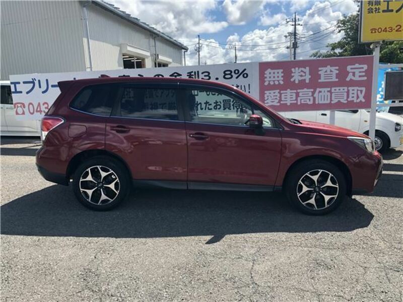 FORESTER-1