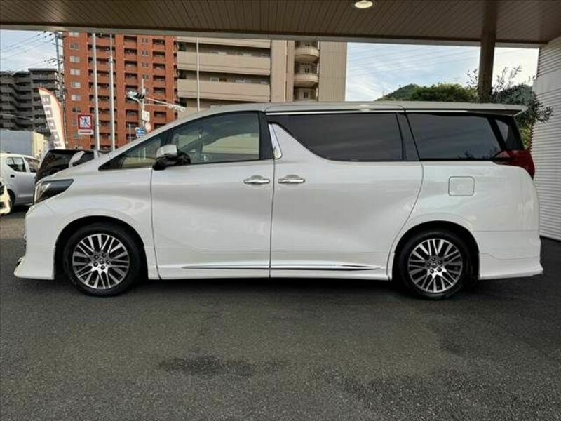 ALPHARD-13