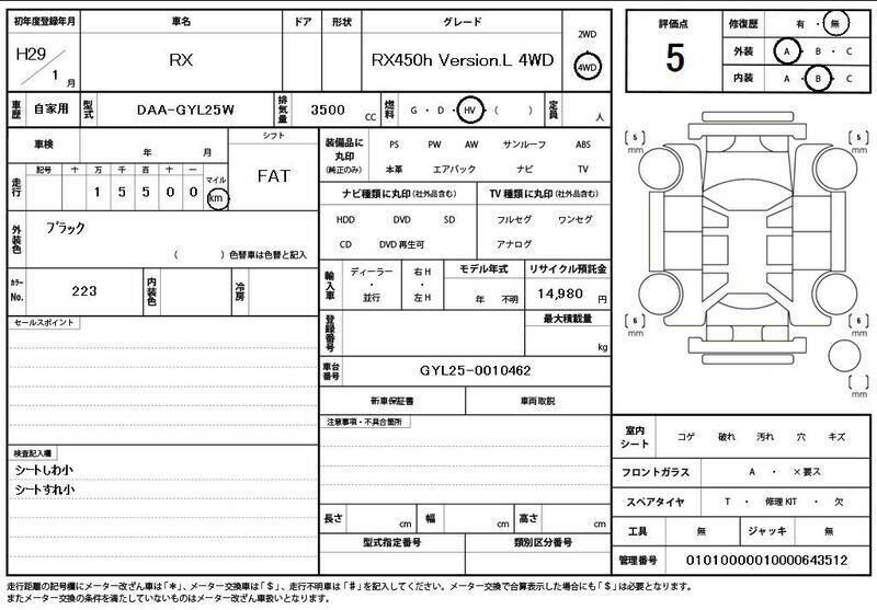 RX-10