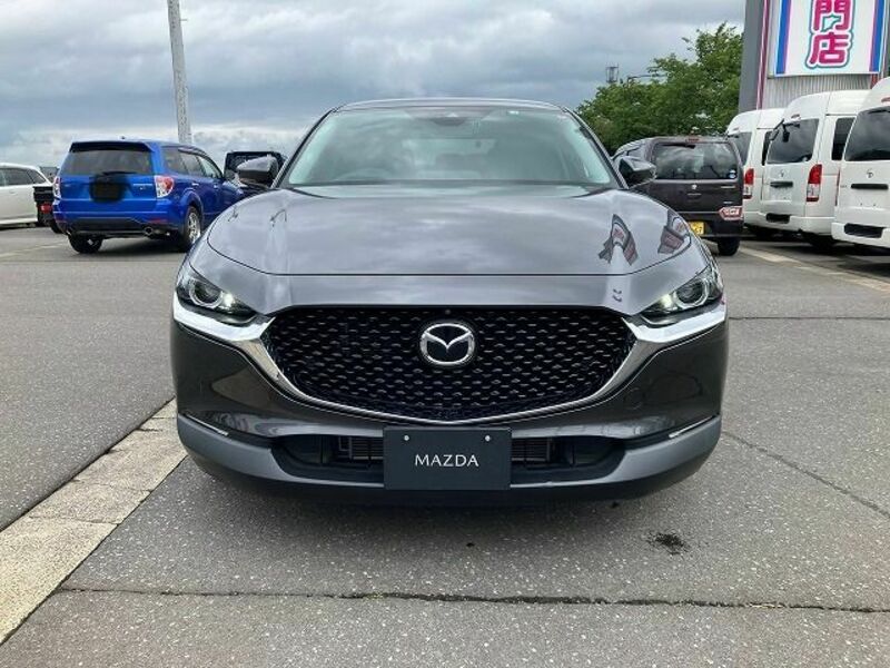 CX-30-1