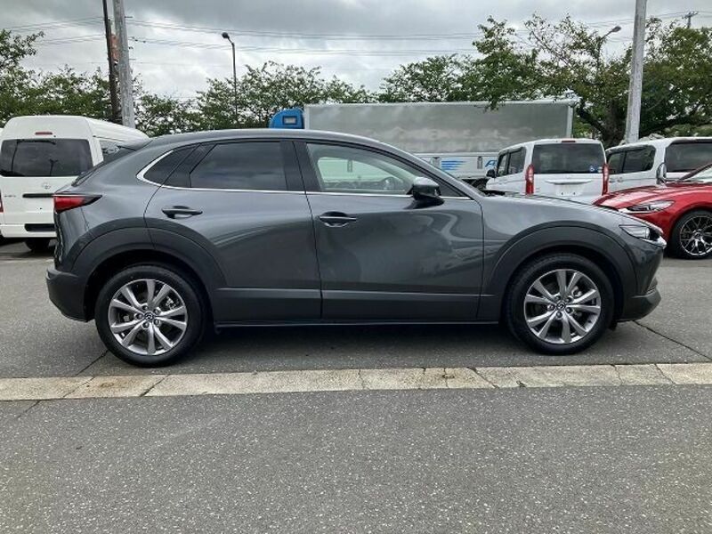 CX-30-3