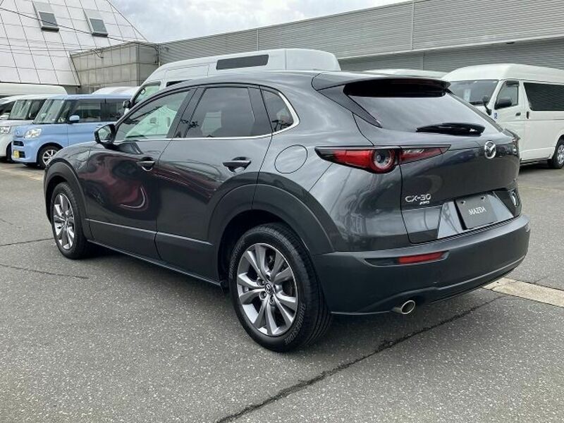 CX-30-7