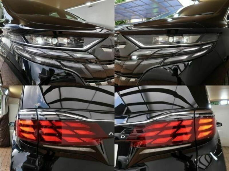 ALPHARD-3