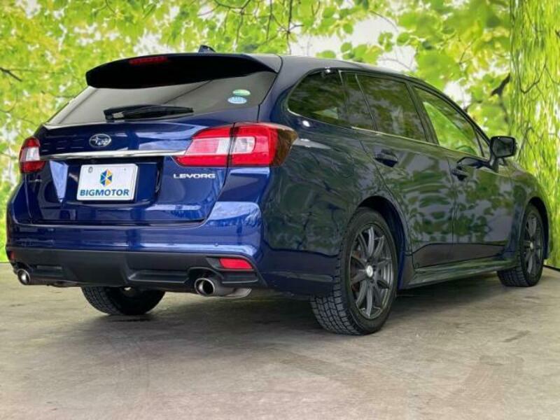 LEVORG-2