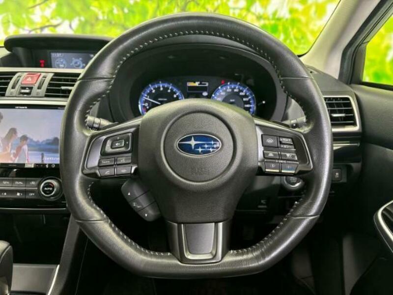 LEVORG-13