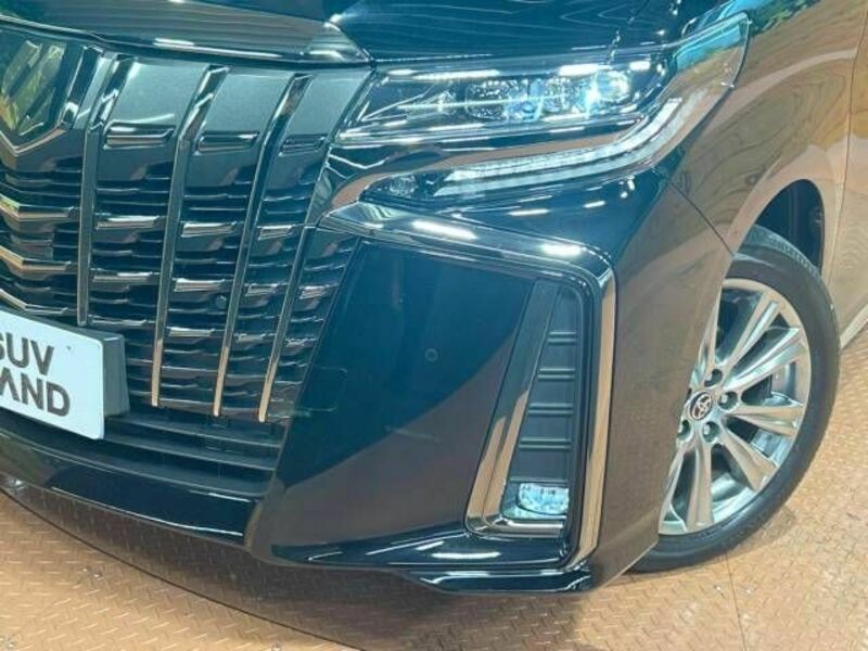 ALPHARD-13