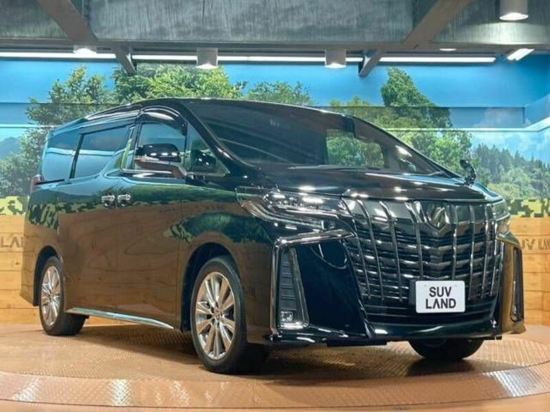 ALPHARD-17