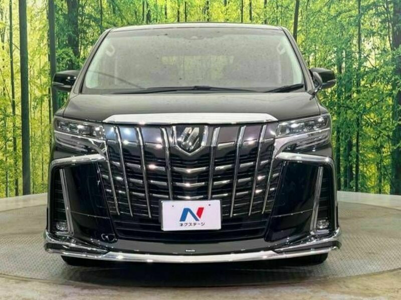 ALPHARD-14