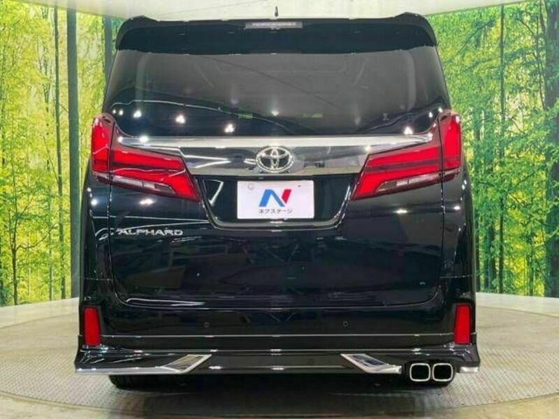 ALPHARD-15