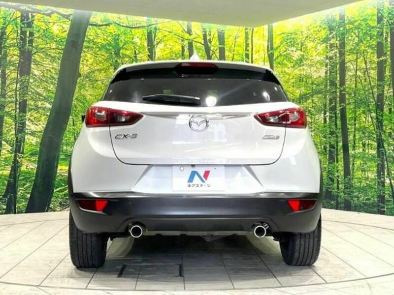 CX-3-15