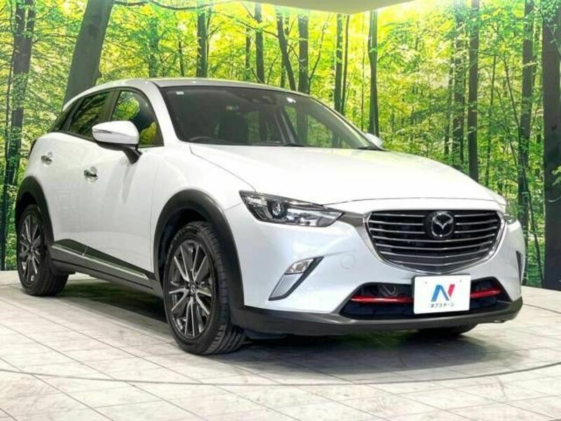 CX-3-16