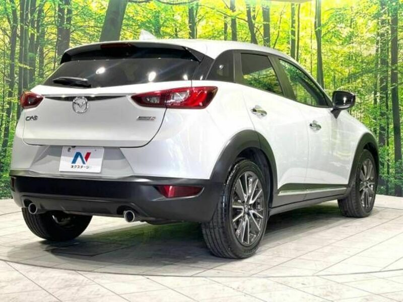 CX-3-17