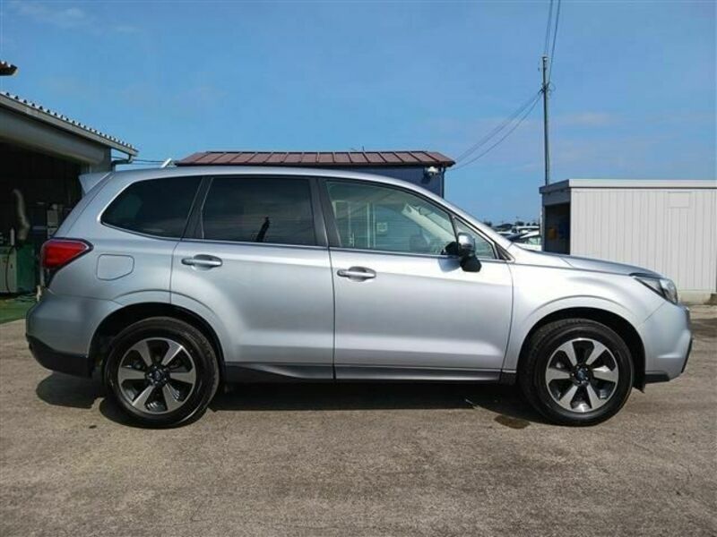 FORESTER-7