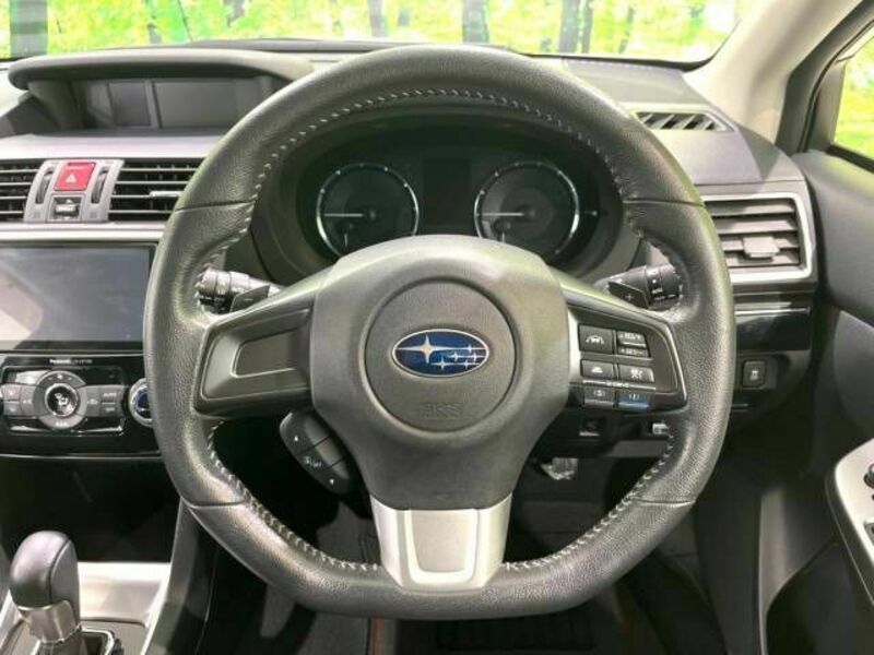 LEVORG-11