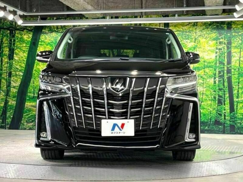 ALPHARD-15