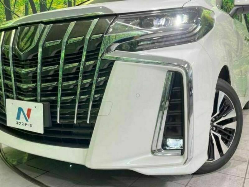 ALPHARD-13