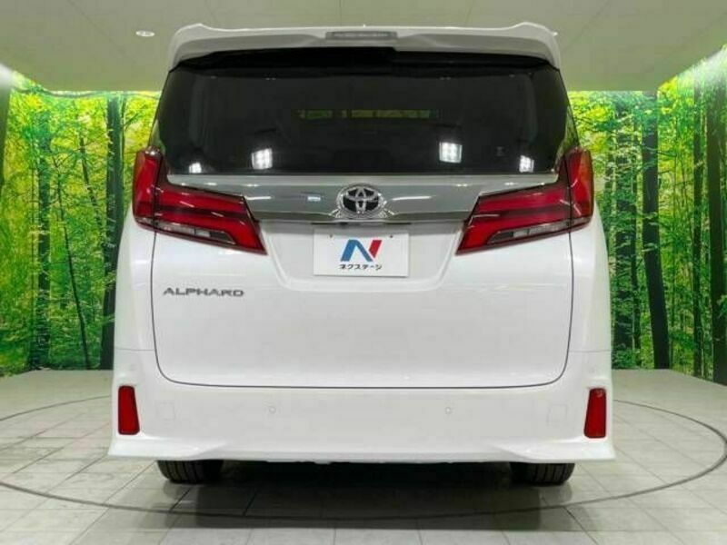 ALPHARD-16