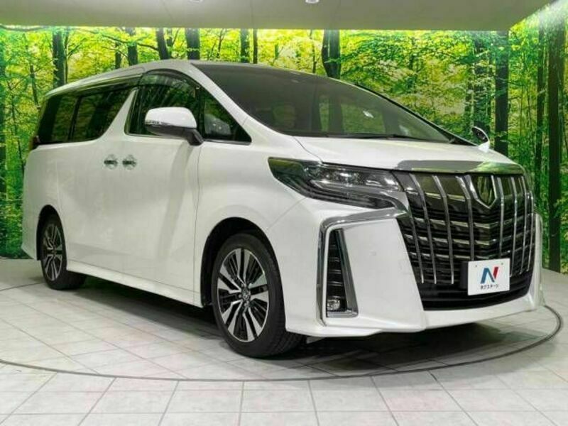 ALPHARD-17