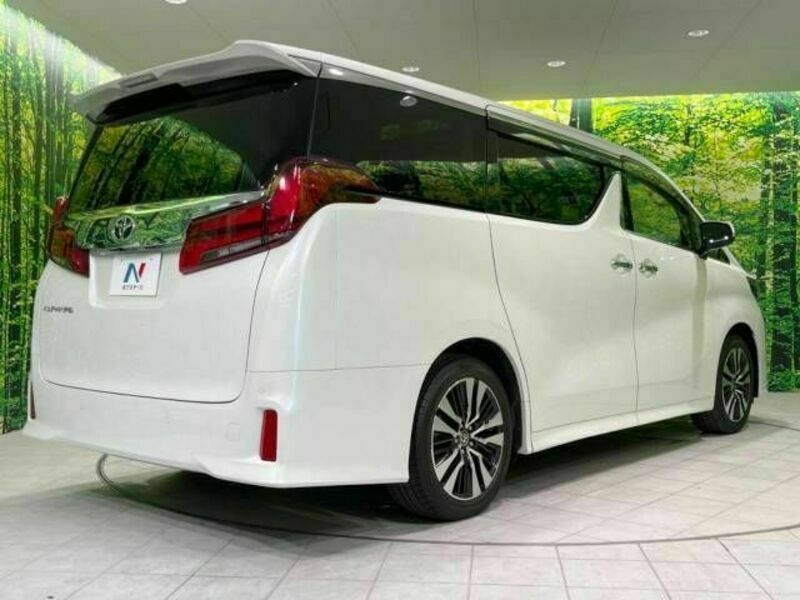 ALPHARD-18