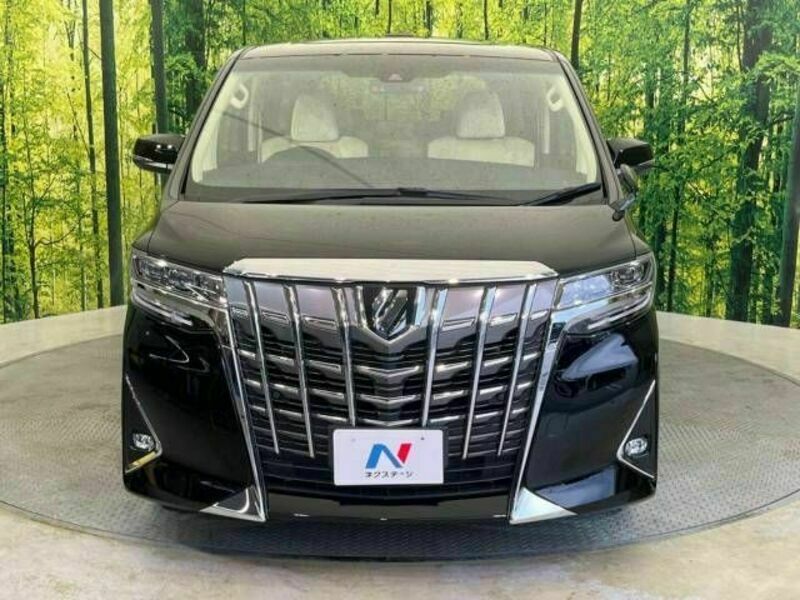 ALPHARD-15