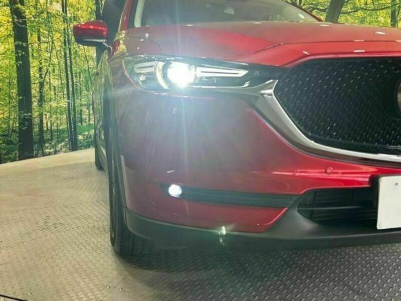 CX-5-12