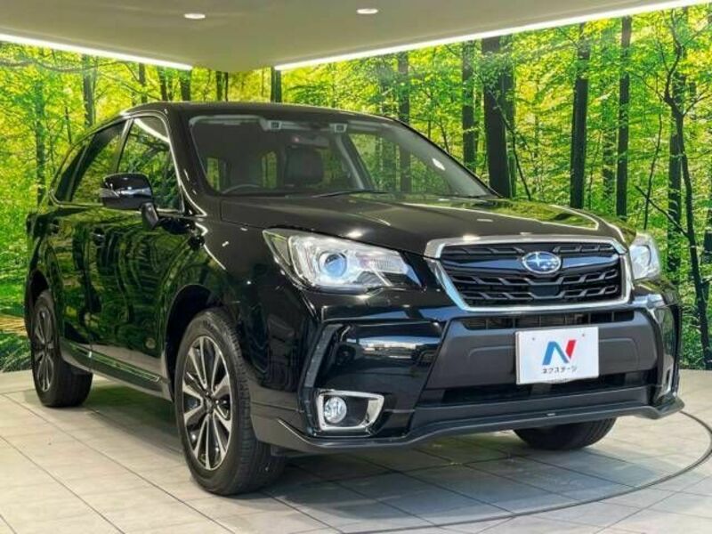 FORESTER-15