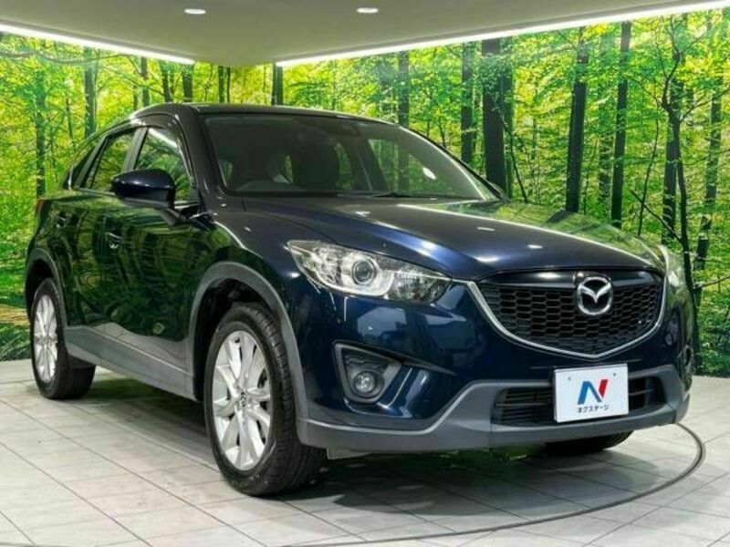 CX-5-16