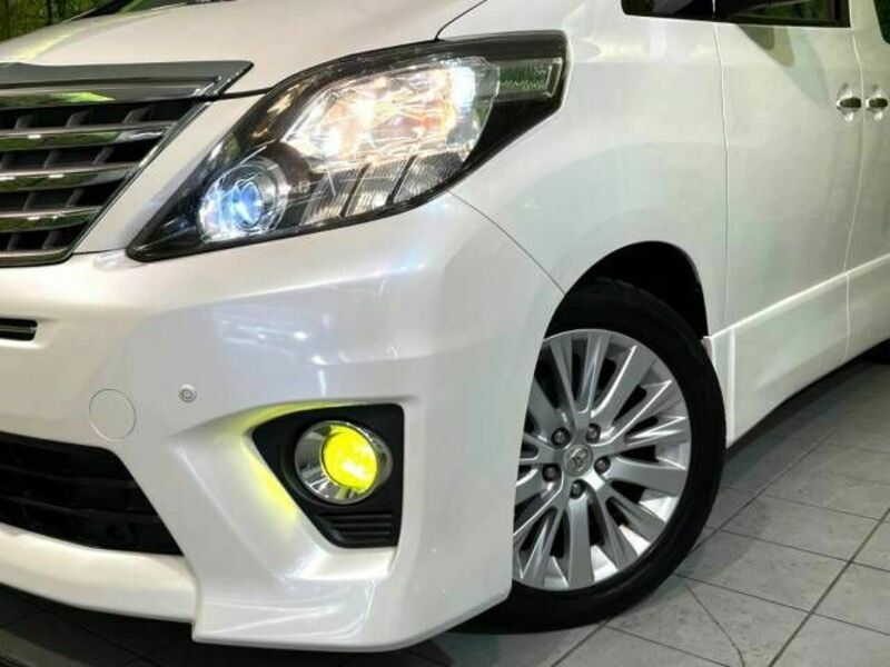 ALPHARD-12