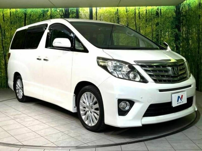 ALPHARD-16