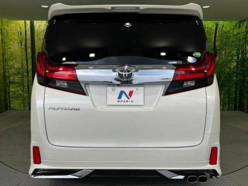 ALPHARD-16