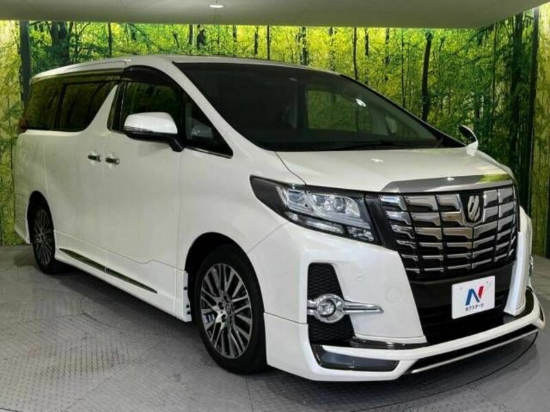 ALPHARD-17