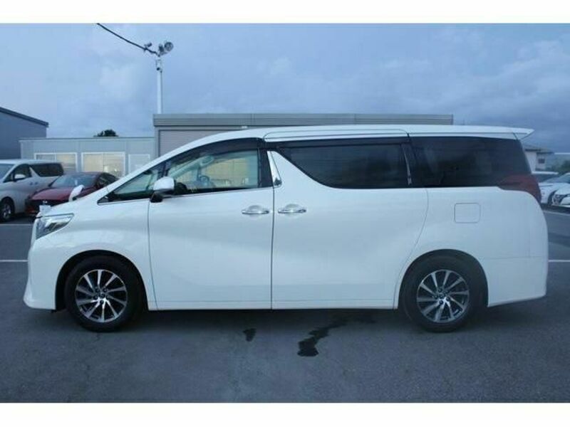 ALPHARD-8